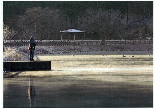写真クラブ会長賞