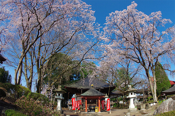 はがまち観光フォトコンテスト2017 芳賀町観光協会 公式サイト|HAGA A GOOD TIME~はがまちで楽しいときを~