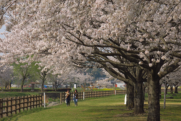 はがまち観光フォトコンテスト2019 芳賀町観光協会 公式サイト|HAGA A GOOD TIME~はがまちで楽しいときを~