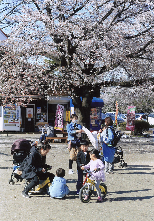 はがまち観光フォトコンテスト2020 芳賀町観光協会 公式サイト|HAGA A GOOD TIME~はがまちで楽しいときを~