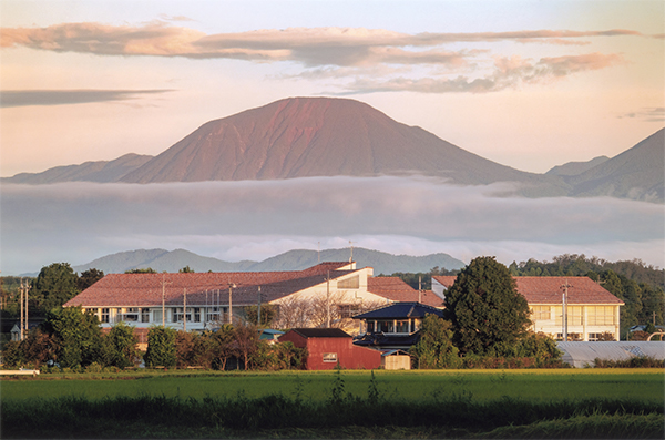 はがまち観光フォトコンテスト2020 芳賀町観光協会 公式サイト|HAGA A GOOD TIME~はがまちで楽しいときを~