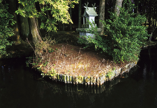 はがまち観光フォトコンテスト2021 芳賀町観光協会 公式サイト|HAGA A GOOD TIME~はがまちで楽しいときを~