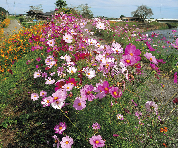 はがまち観光フォトコンテスト2021 芳賀町観光協会 公式サイト|HAGA A GOOD TIME~はがまちで楽しいときを~