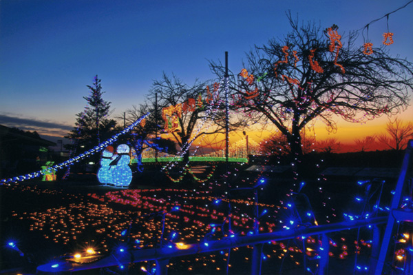 芳賀町観光協会長賞