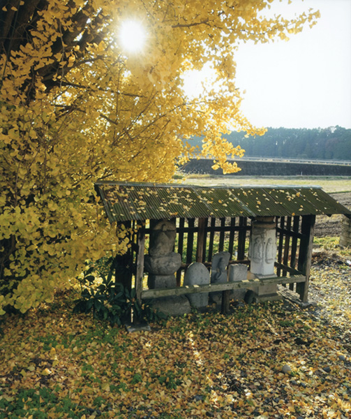 芳賀町写真クラブ会長賞