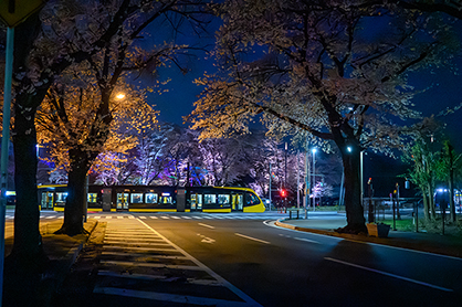 特別賞 ライトライン2024賞