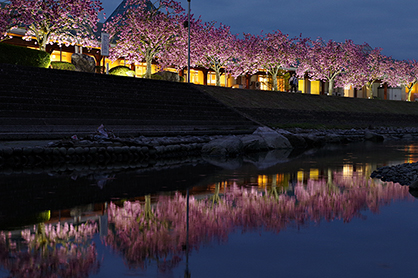 特別賞 道の駅はが社長賞