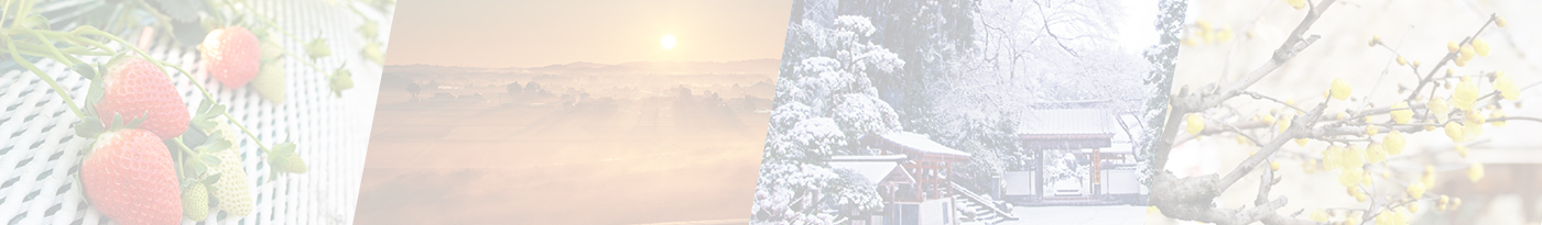 はがまち観光ピックアップ