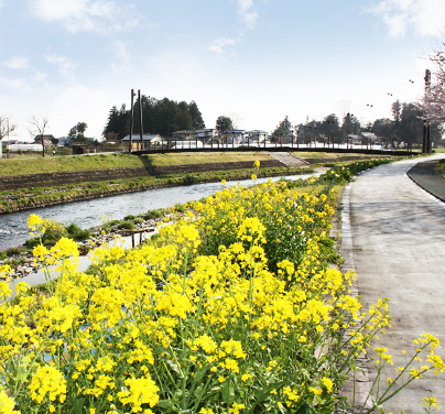 はがまちサイクリング