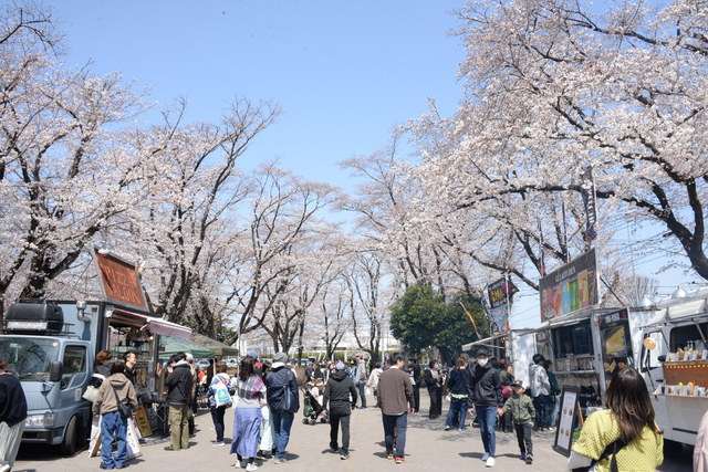 【さくらまつり2026】うまいもん横丁