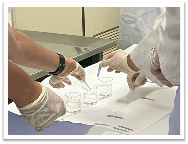 【さくらまつり2026】Hondaテストコース見学&東洋濾紙工場見学