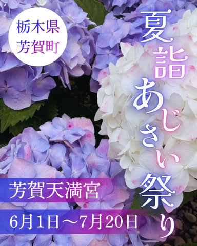 【芳賀天満宮】夏詣・あじさい祭り開催中