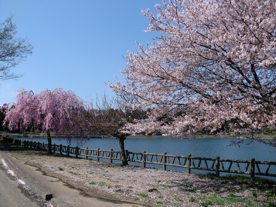 唐桶溜（唐桶宗山公園）